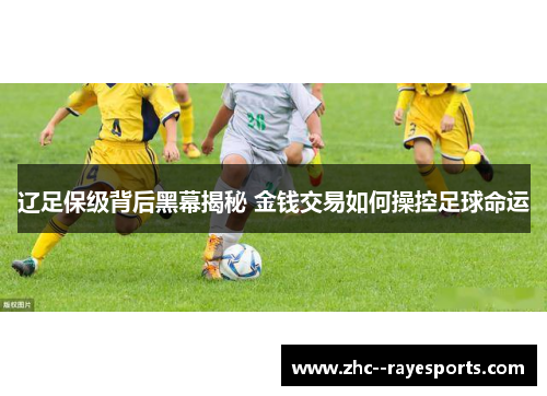 辽足保级背后黑幕揭秘 金钱交易如何操控足球命运 辽足保级背后黑幕揭秘 金钱交易如何操控足球命运